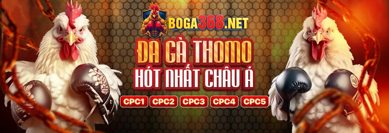 Đá Gà Trực Tuyến Hấp Dẫn tại banca28 nhà cái